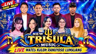 FULL ALBUM NEW TRISULA MUSIC LIVE HAJATNYA KP SUADI DS WATES KULON RANUYOSO LUMAJANG