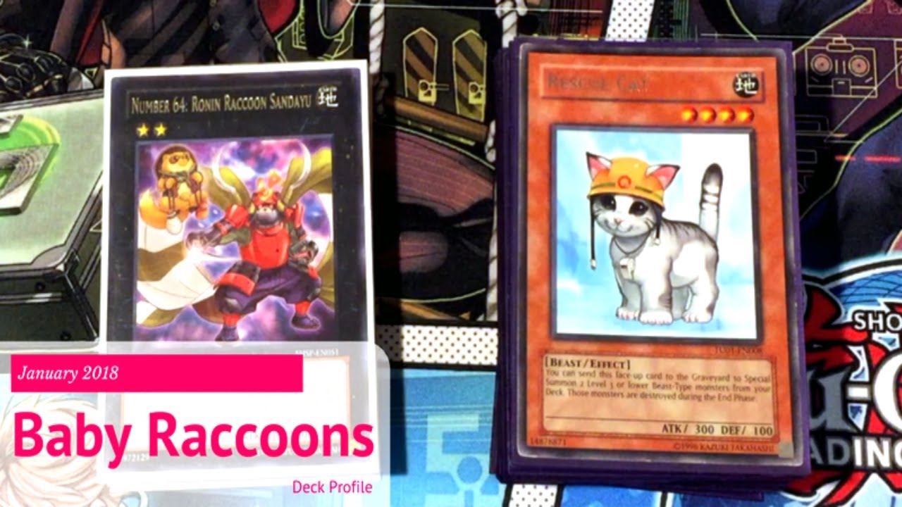 yugioh raccoon deck Amazon.com: YuGiOh : MP16-EN126 1st Ed Majespecter Raccoon - Bunbuku Ultra  Rare Card