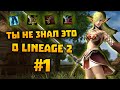 ТЫ НЕ ЗНАЛ ЭТОГО О LINEAGE 2