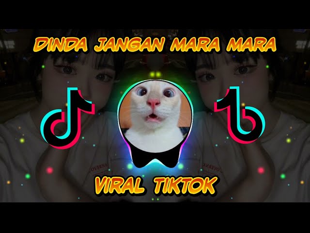 DJ MENEMANI DI KALA GUNDAH || DJ DINDA JANGAN MARAH MARAH || DINDA DI CARIIN  || DJ ZERZSOFTBOY class=