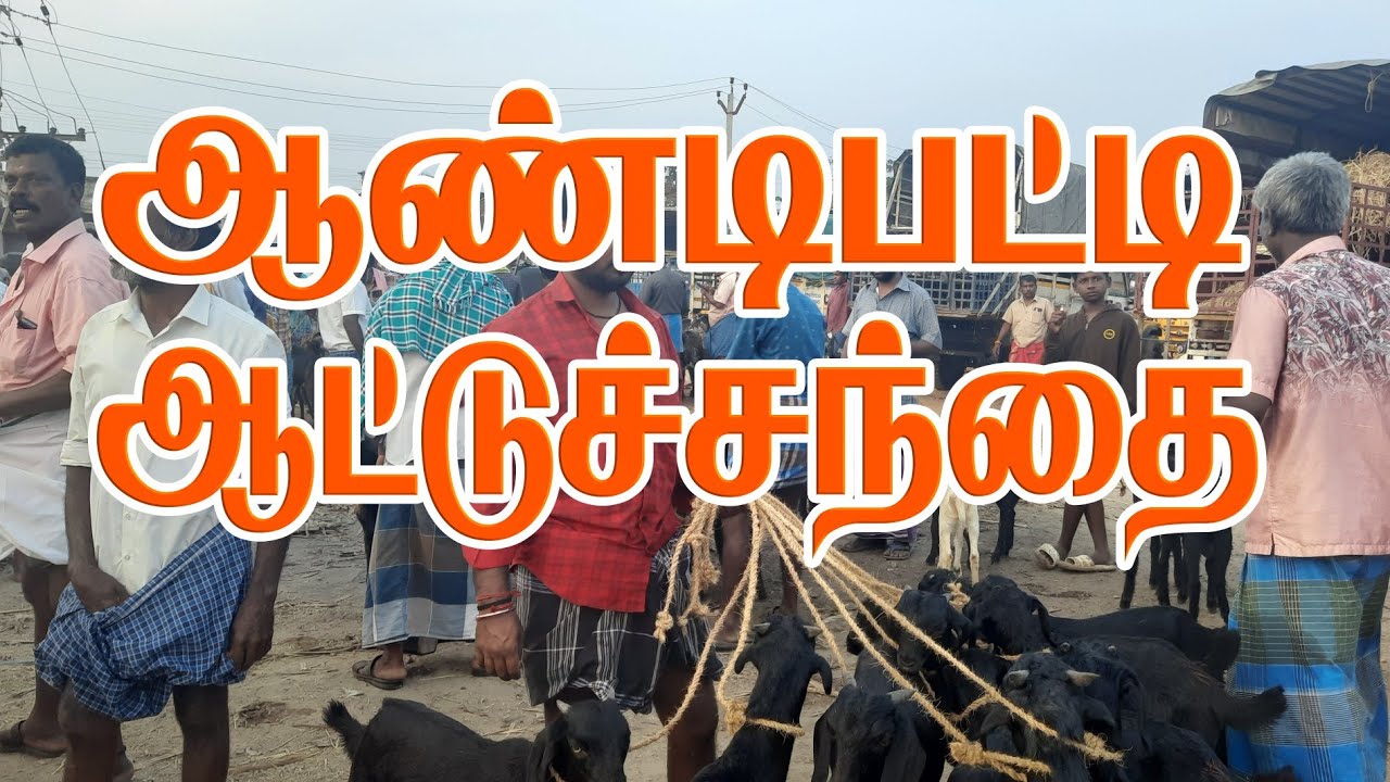 ஆண்டிபட்டி ஆட்டுச்சந்தை!