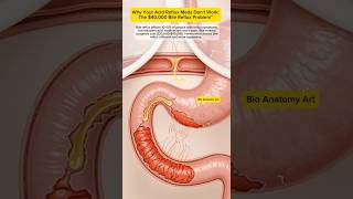 Celebrity Why Your Acid Reflux Meds Don't Work: The $40,000 Bile Reflux Problem Net Worth