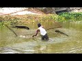 Amazing Shake net fishing video || fishing caught