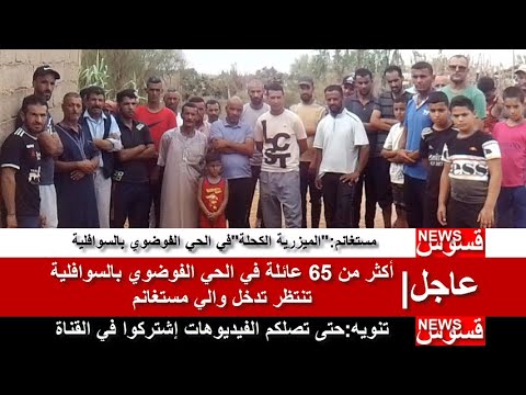 فيديو: هل يبكي الصفصاف فوضوي؟