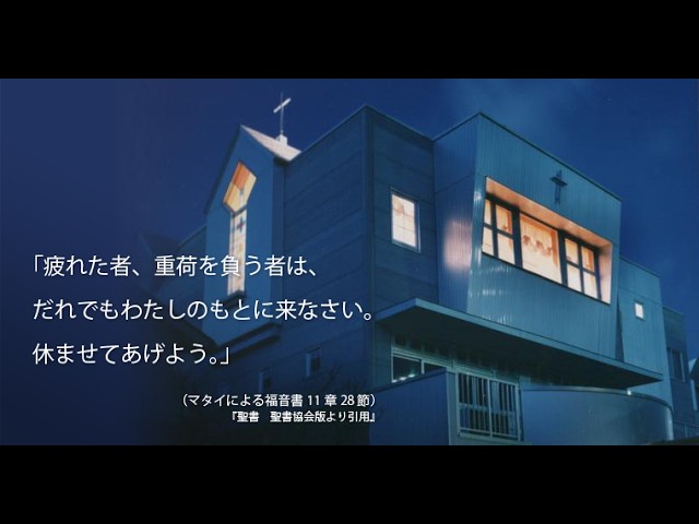 すべての動画