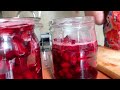 Влог. Готовлю ВАРЕНЬЕ из КИЗИЛА. ПИЦЦА