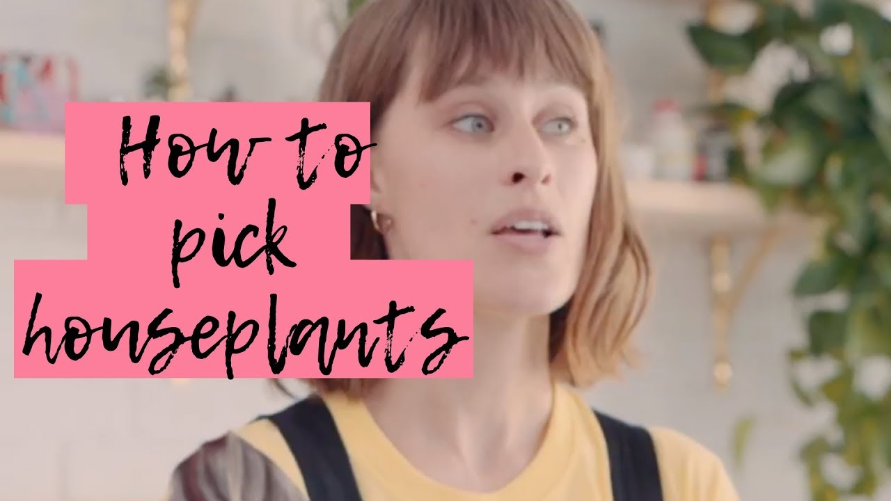 how-do-i-pick-the-right-indoor-plants-youtube