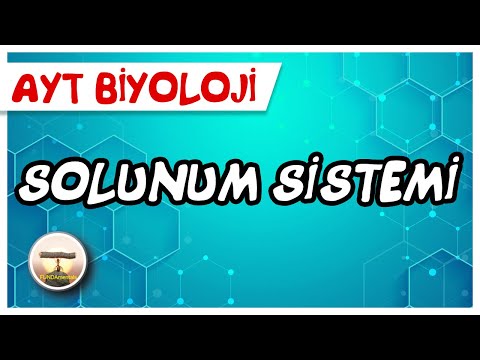 AYT Biyoloji | Solunum Sistemi  #sayfa 96