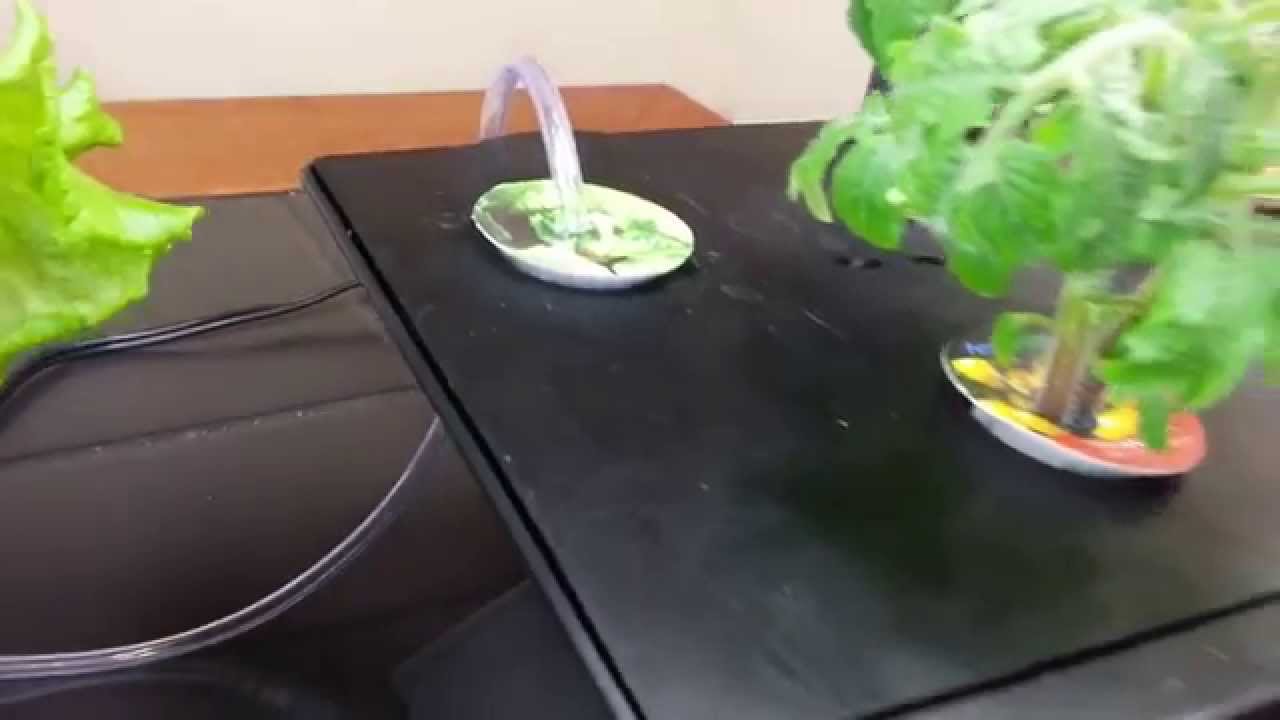Experimental Aerogarden Aerator (Air Stone) YouTube