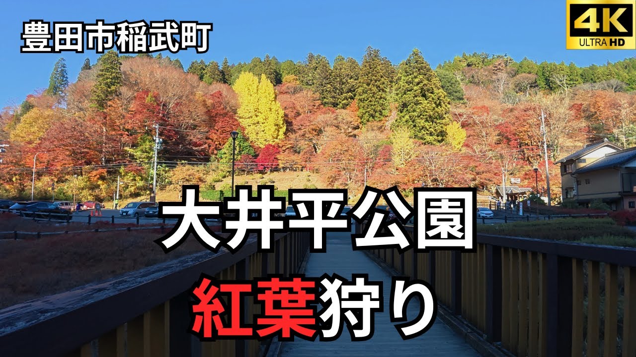 【豊田市 稲武町】 大井平公園で紅葉狩り！【愛知の紅葉🍁】