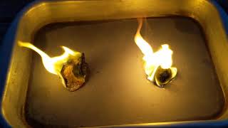 Burning Foods Experiment