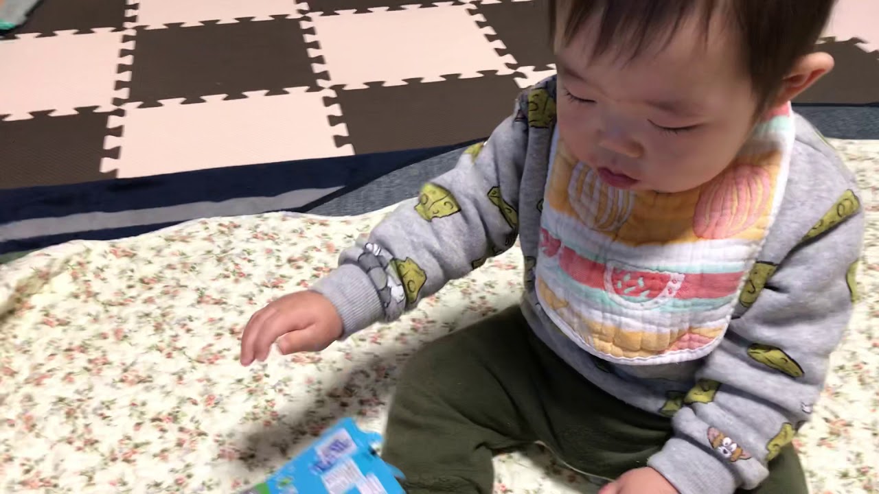 Lego Duplo の車のおもちゃを生後11ヶ月の息子に買うと Youtube