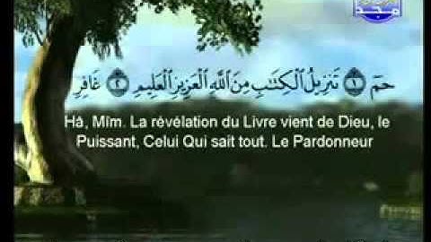 سورة غافر كاملة الشيخ السديس والشريم