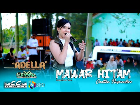 MAWAR HITAM - Dara Fu | TIPE-X versi Dangdut Koplo (Official Music Video)
