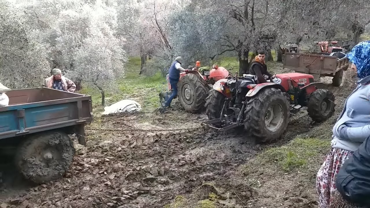 HATTAT B3055 - MASSEY FERGUSON 240S İ Kurtarabilecek Mi? (Çamur İçerir)