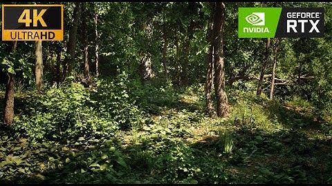 Unreal Engine 5.2  Showcase: Amazing Forests - A Visual Masterpiece of Next-Gen Graphics (4k 60fps)