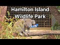 Australian Wildlife Park | Hamilton Island