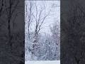 This Siberian Village Shouldn't Be Habitable #Shorts #Oymyakon #Extreme