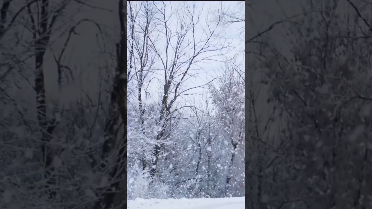 Выживание при температуре -69,2°C: жизнь в условиях экстремального холода в Оймяконе