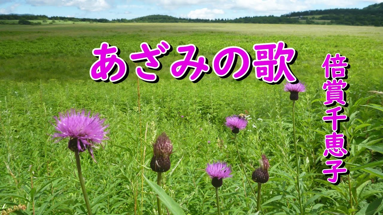 あざみの歌＃倍賞千恵子（作詞：横井弘、作曲：八洲秀章 北海道真狩村
