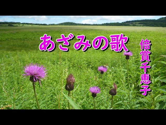 あざみの歌＃倍賞千恵子（作詞：横井弘、作曲：八洲秀章 北海道真狩村