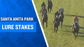 2025 $80,000 Lure Stakes at Santa Anita Park