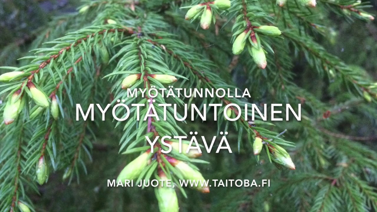 Myötätuntoinen ystävä, Mari Juote, TaitoBa, www.taitoba.fi