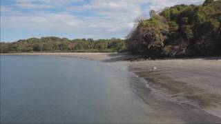 Isla Palenque A Wild Ride