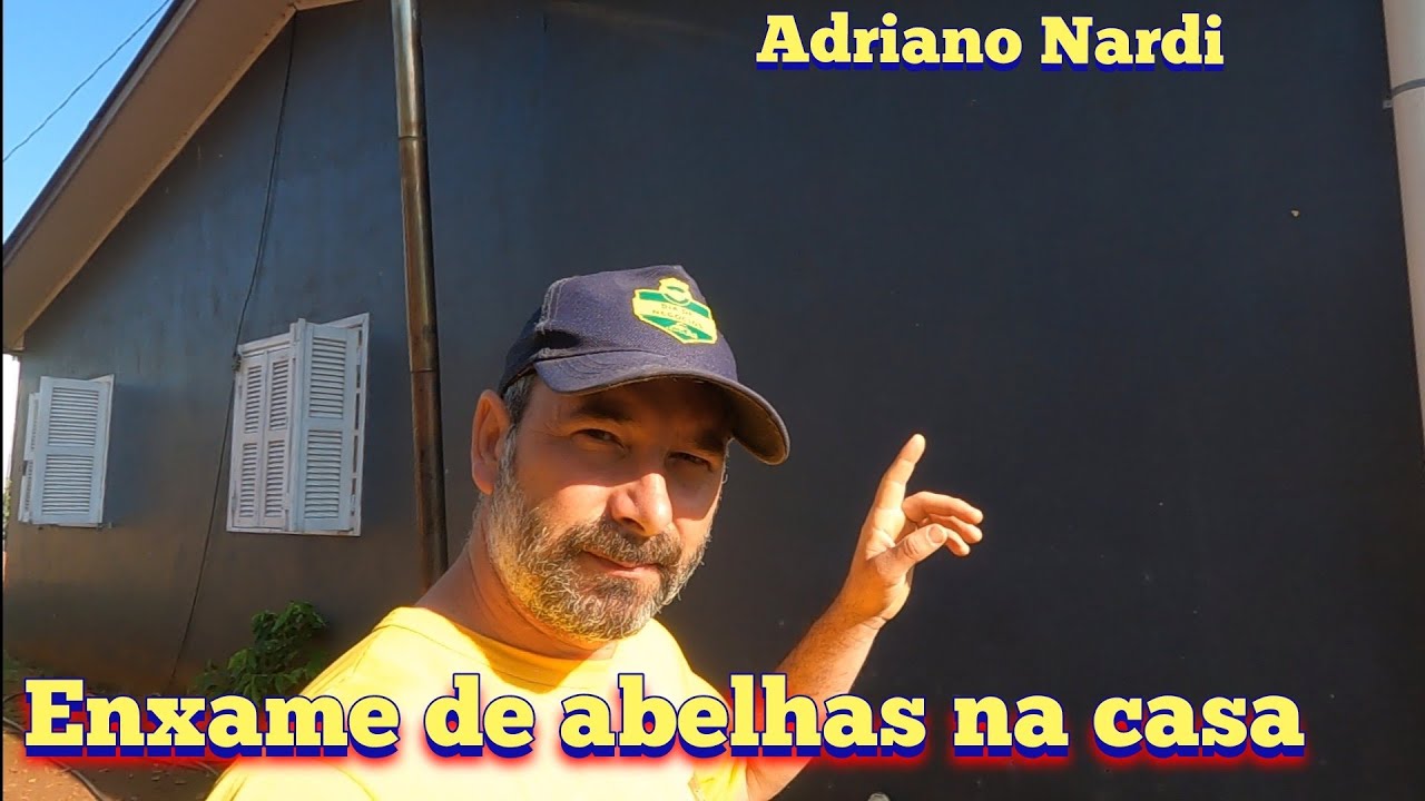 Bateu um enxame de abelhas na nossa casa 🏡.