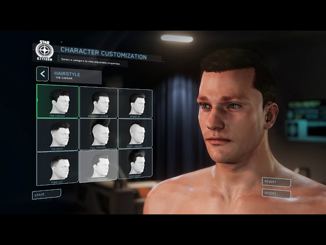 Star Citizen Alpha 3.1 adds character customization, new ships, and more