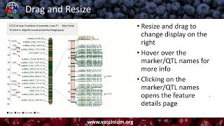Using the Genome Database for Vaccinium for Genetics, Genomics, and Breeding Research
