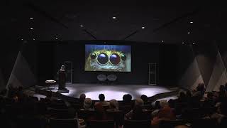 Minibeasts of Arabia Science Talk | Yas SeaWorld Research & Rescue Center