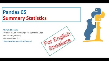 Pandas 05 | DataFrame  -  Summary Statistics   E