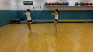 SC CHEER 2010 TRYOUTS with counts