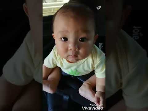 癒し 神 可愛い 赤ちゃんのキョトン顔 Baby Cuteness Youtube