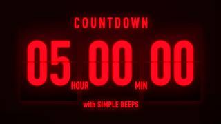 5 Hours Flip Clock Timer / With Simple Alert 🚨