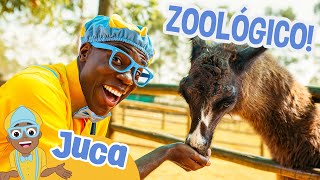 🐴Juca Visita um Zoológico! 🐴| Episódio Completo | Juca Brasil | Videos Educativos em Português