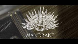 Herakut at the Mandrake Hotel, London.