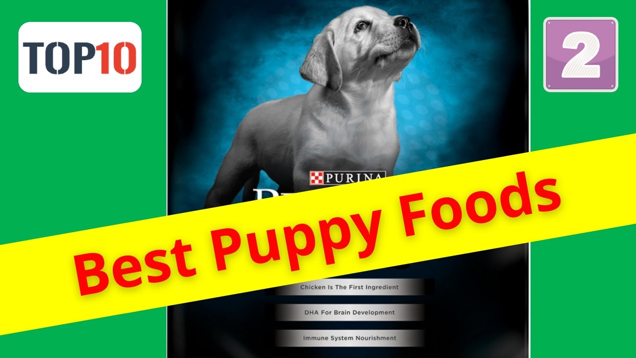 Top 10 Best Puppy Foods-Purina Pro Plan Puppy Formula Dry Dog Food(Reviews)✅Part 2