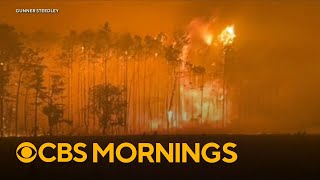 Massive wildfires in Georgia destroy dozens of homes