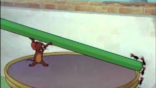 Download Lagu Tom and Jerry : The Ant Day MP3