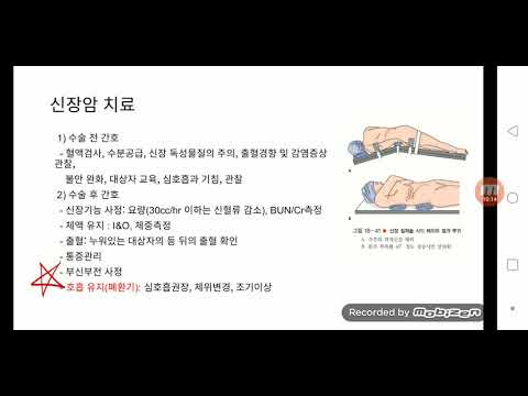 2 2 3 비뇨기계 신생물 신장암, 방광암