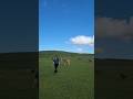 Background Windows XP ada di NTT #youtubeshorts #travel #fulanfehan #atambua #ntt #fyp #kelanaberdua