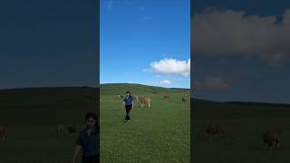 Background Windows XP ada di NTT #youtubeshorts #travel #fulanfehan #atambua #ntt #fyp #kelanaberdua