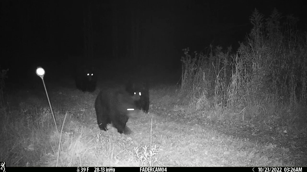 Faders woods west valley ny