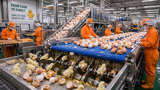 Chicken Mega Factory: Chicken Egg Incubation Technology - Broiler Raising Method & Process in USA