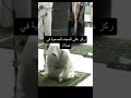 طريقة السجود الصحيحة طريقة السجود الصحيحة