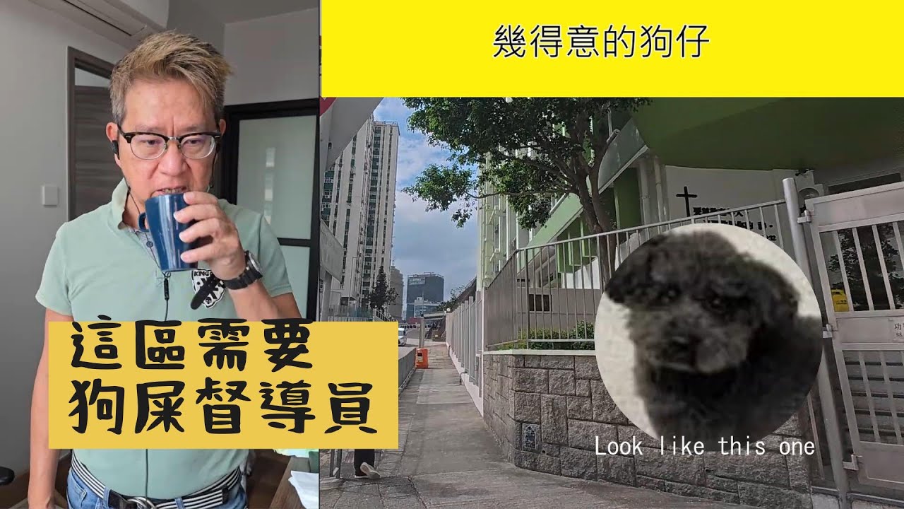 呼籲觀塘康寧道功樂道放狗人士, 包括傭人, 保持環境清潔. - YouTube