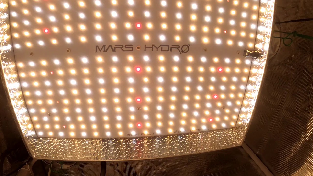 Mars Hydro grow journal #1 ts1000  unboxing and setting up.