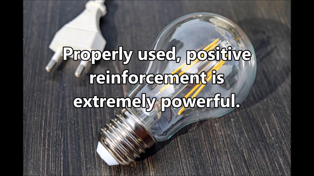 Favorite Quotes of B. F. Skinner - YouTube